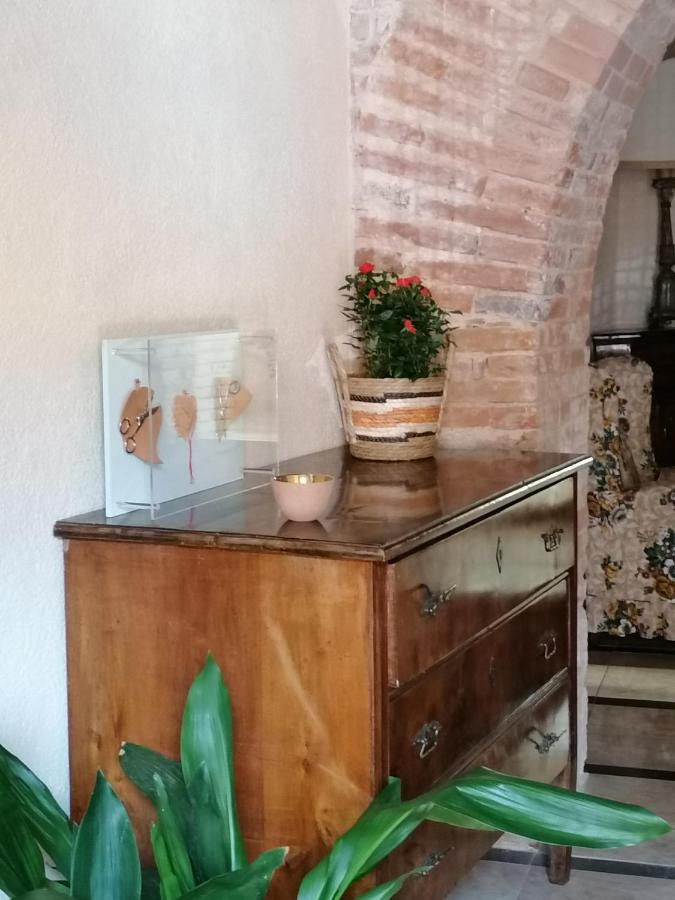 Eleonora 10 Min From Beaches * San Vero Milis